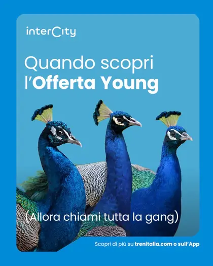intecity peacocks