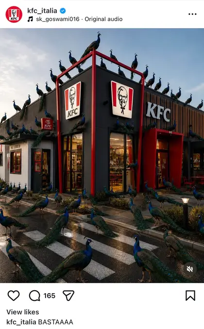 KFC peacocks