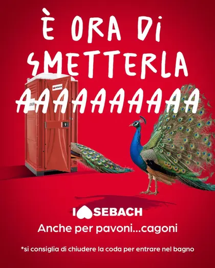 sebach peacocks