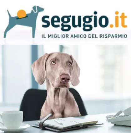 Segugio.it dog